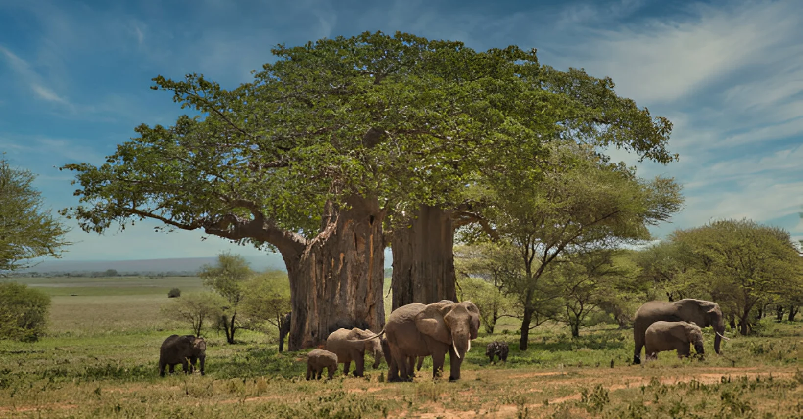 Tarangire River